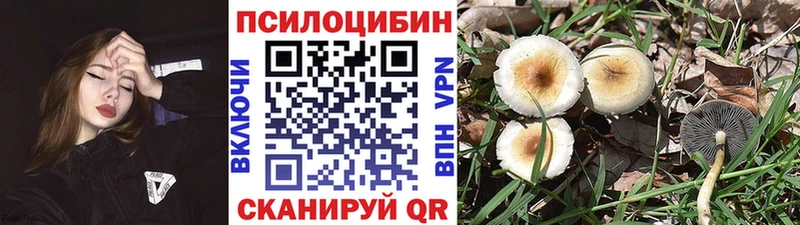 где продают   Энгельс  mega как войти  Галлюциногенные грибы MAGIC MUSHROOMS 