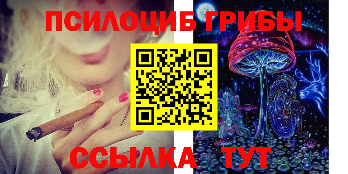Энгельс  Псилоцибиновые грибы Psilocybine cubensis  Галлюциногенные грибы GOLDEN TEACHER  Вход с VPN 